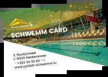 Schwemm card miniature png